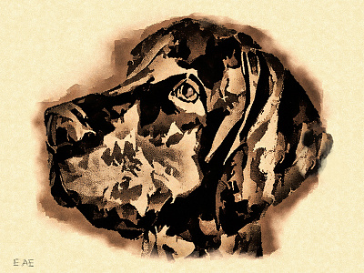 My vizsla dog 2d art character concept dog eye face illustration vizsla