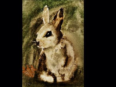 Rabbit 2d art character concept illustration paint