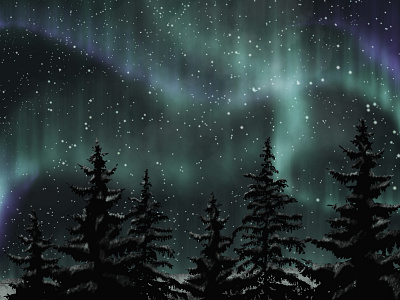 Aurora Borealis - Northern Lights Illustration aurora aurora borealis custom brushes forest illustration nature night northern lights pine tree procreate procreateapp sky snow winter
