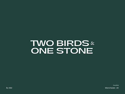 Two Birds — Branding brand mark branding design flat illustration illustrator logo minimal stamp typography vector
