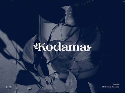 Kodama — Branding australia blue botanical brand brand identity branding branding concept circle logo design hand drawn illustration logo mark melbourne minimal plant plant logo procreate typography vector