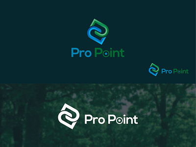 Pro Point logo design