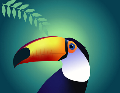 Toucan bird exotic flat illustration jungle kammerel toucan tropic vector zoo