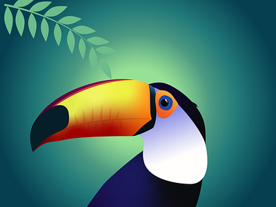 Toucan