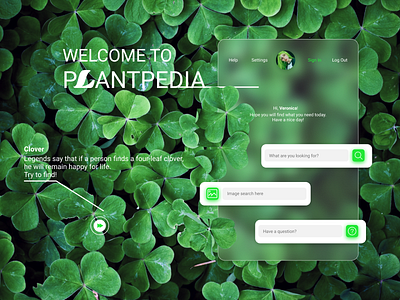 PlantWiki consept design flat glassmorphism minimal minimalism ui ux web website