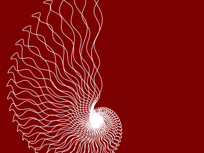 The seashell under the water. creative code gif nature parametric perfect loop processing