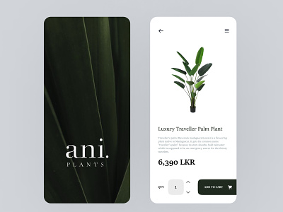 Plant Shop Mobile UI Design