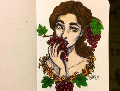 Grapes illustration