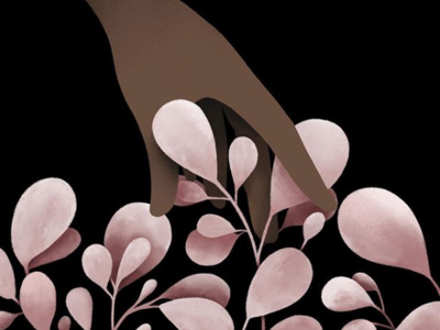Onward botanical digital digital illustration drawing flora floral hand illustration illustrative minimal overlap painterly pink plant plants procreate