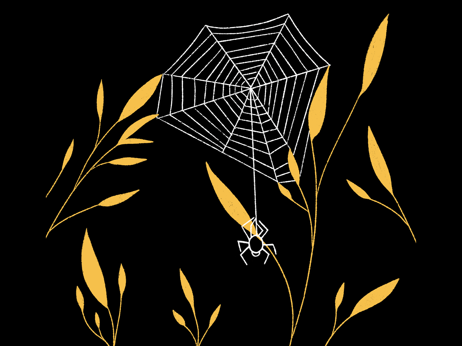 Frail/Swing 2d animation animation animation 2d drawing frail gif inktober inktober2019 ipad pro leaves procreate sketch spider spiderweb swing web