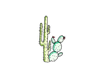 Cacti adobe cactus desert design flora graphic design illustration illustrator penandink watercolor