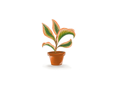 Houseplant adobe brushes design flora graphic design houseplant photoshop plant wacom