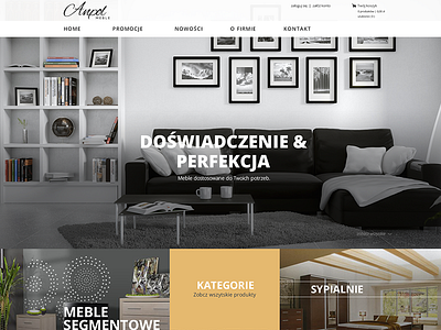 Anpol | website furniture gray grzegorz langner redesign responsive