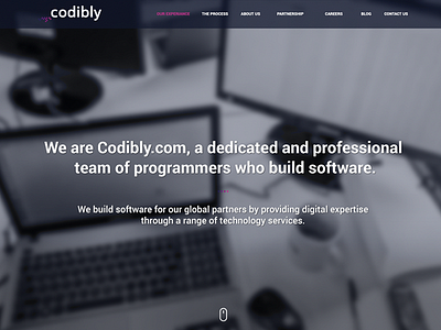 Codibly website codibly dignitally langner webdesign