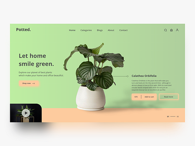 Potted website concept interface minimal nature plant ui ui design ux website design