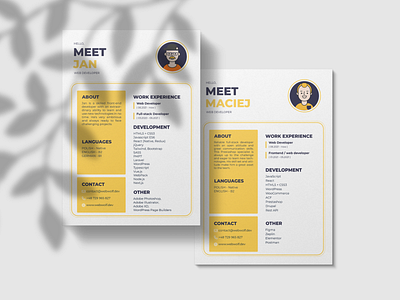 CV design cv design graphic design illustration mockup vector