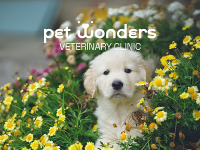 Pet Wonders Logo Design branding logo logo design