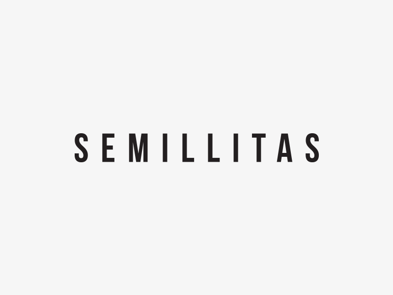 Semillitas icon construction branding clean construction grid icon logo logotype mexico nature seed