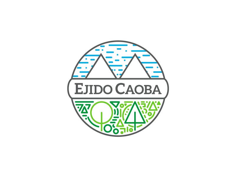 Ejido Caoba — logo grid branding colorful forestal grid line line work logo mexican design mexico seal wood