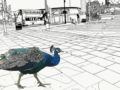 Detail from ‘A Peacock In Piccadilly’ animation art blackandwhite colourful cool digital art illustration illustration digital london mykadelica
