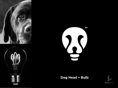 Dog Head   Bulb
