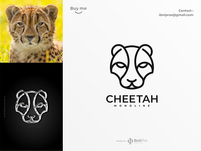 Browse thousands of Cheetah images for design inspiration