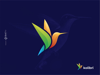 kolibri animal bird color digital gradient icon kolibri logo logoinspiration logotype