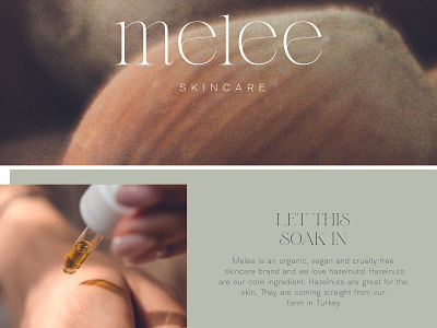 Melee Cosmetics - Branding+graphic design branding design graphic design illustration logo typography