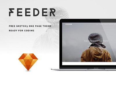 Feeder clean ui web