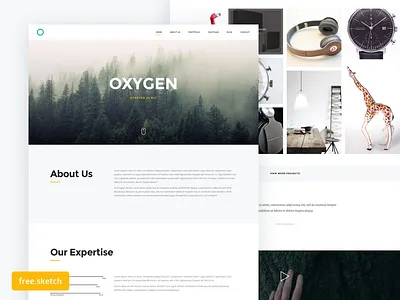 Oxygen - Starter UI Kit (Free) free landing sketch ui web design