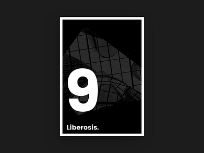 Liberosis -- 09 colour design layout minimal poster whatever