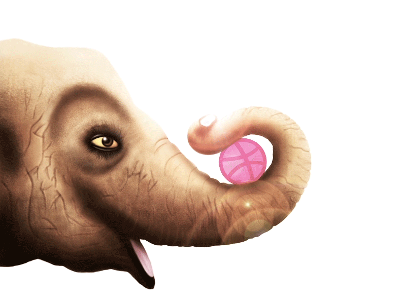 Elephant after animal digital effects elephant first painting photoshop shot