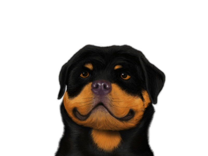 Dasti - Rottweiler after animation dog effects gif illustration painting portrait rottweiler