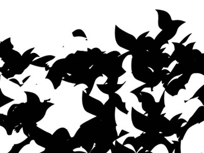 Flocking Chaos art birds generative illustrator processing