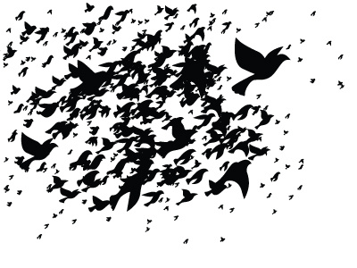 Flocking Chaos - Part 2 art birds generative illustrator processing