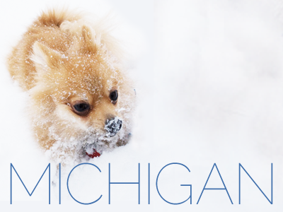 Michigan cold michigan pomeranian state winter