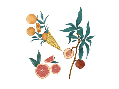Food Illustration digital art food illustration fruit illustration illustration macarons procreate procreate art