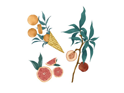 Food Illustration