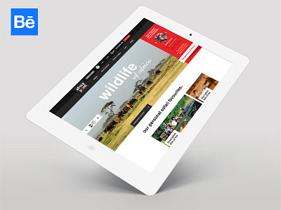 Africa Point Behance Case Study flat design responsive design safari web design