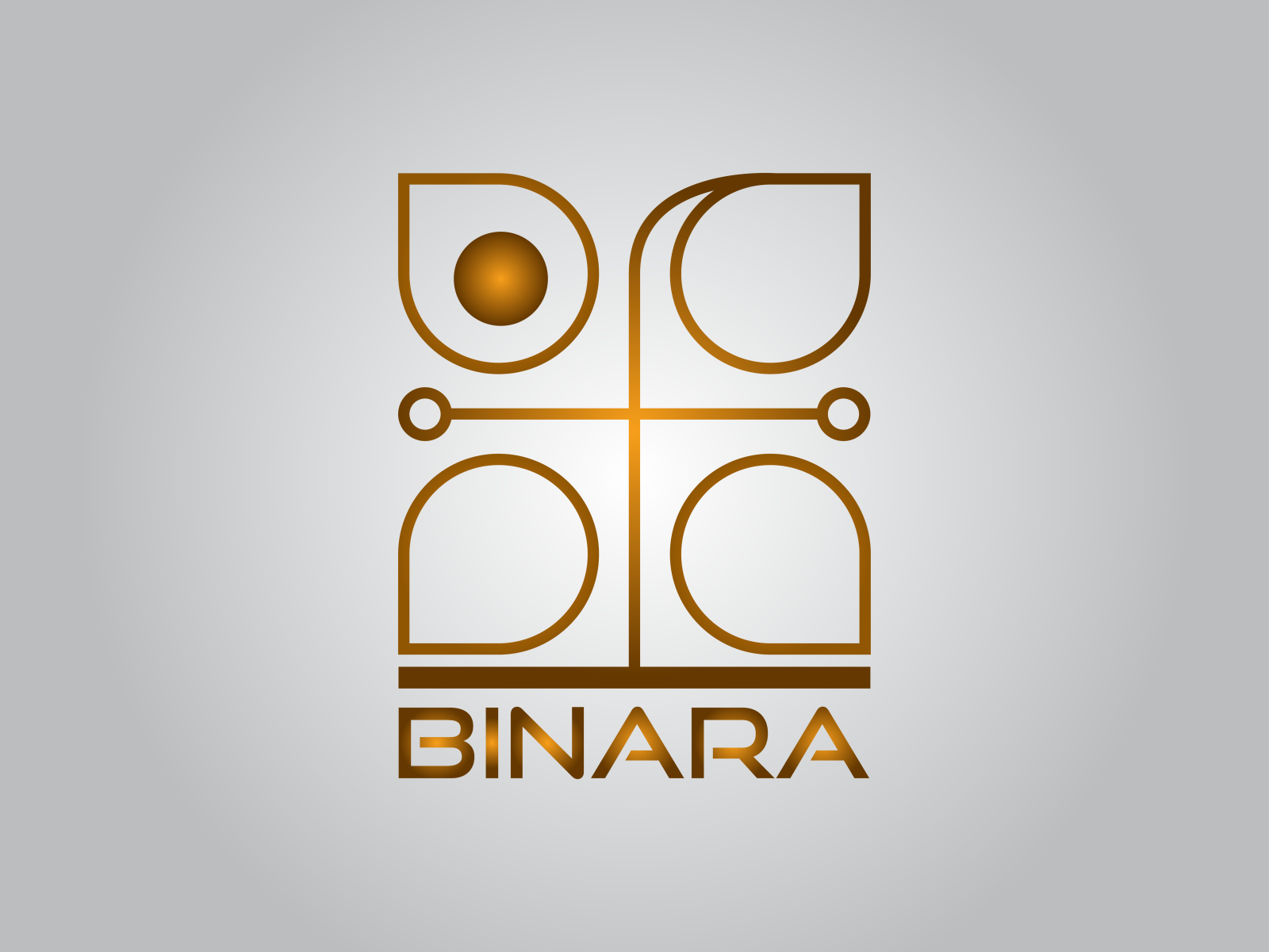 BINARA by Ravindu Dananjith on Dribbble