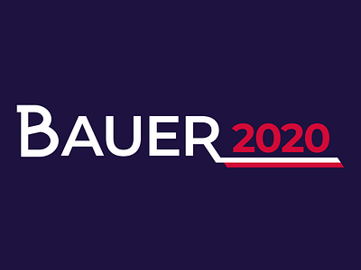President 2020 election logo poland president vector