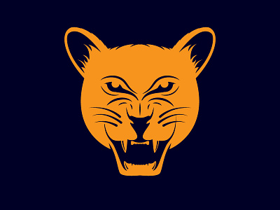 BIG CAT branding graphic design logo motion graphics