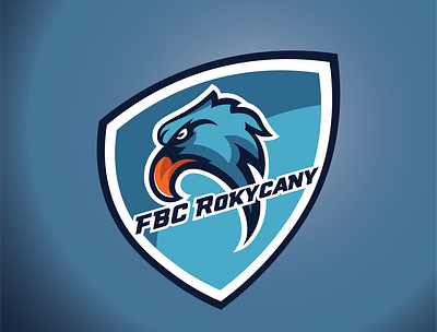 FBC rokycany - florball team branding design florball icon illustration logo team