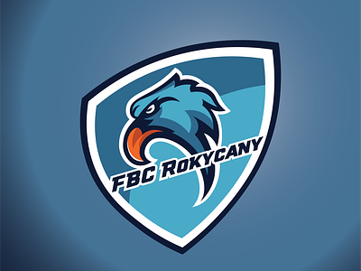 FBC rokycany - florball team