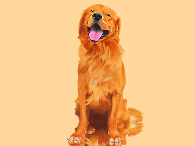 Simba animalillustration art design dog dogillustration illustration minimal print procreate digital painting procreate