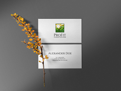 ProFit Business Cards brand identity branding business card design graphic design identity logo logotype typography vector visiting card