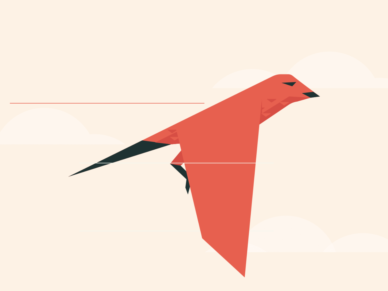 Flight animation bird flight gif illustration illustrator weeklywarmup