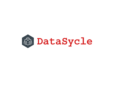 DATASYCLE branding graphic design logo motion graphics