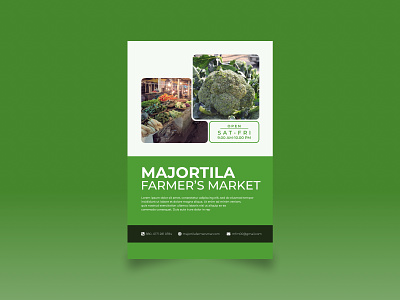 Majortila Farmer's Market | Weekly Warm-up