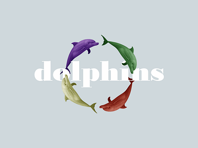 Dolphins dolphins